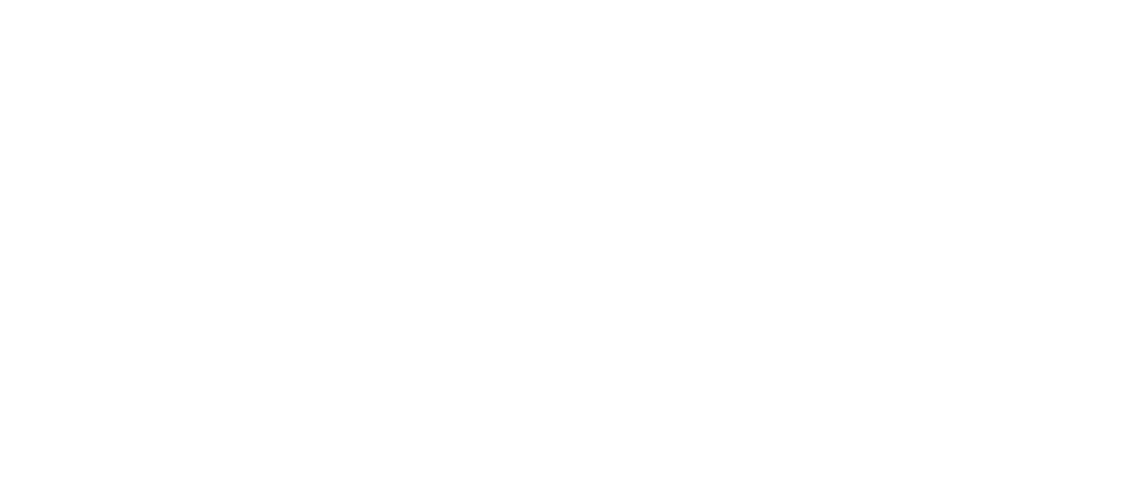 Logo Centrale Lyon